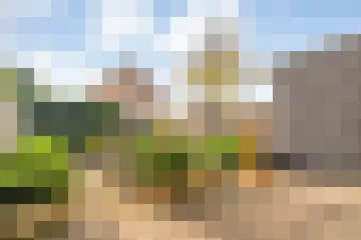 Beekberg 121 Hardenberg thumbnail 31