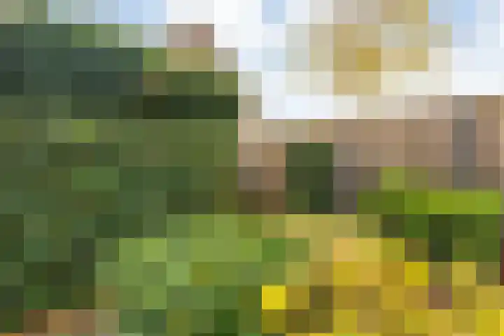 Beekberg 121 Hardenberg thumbnail 32