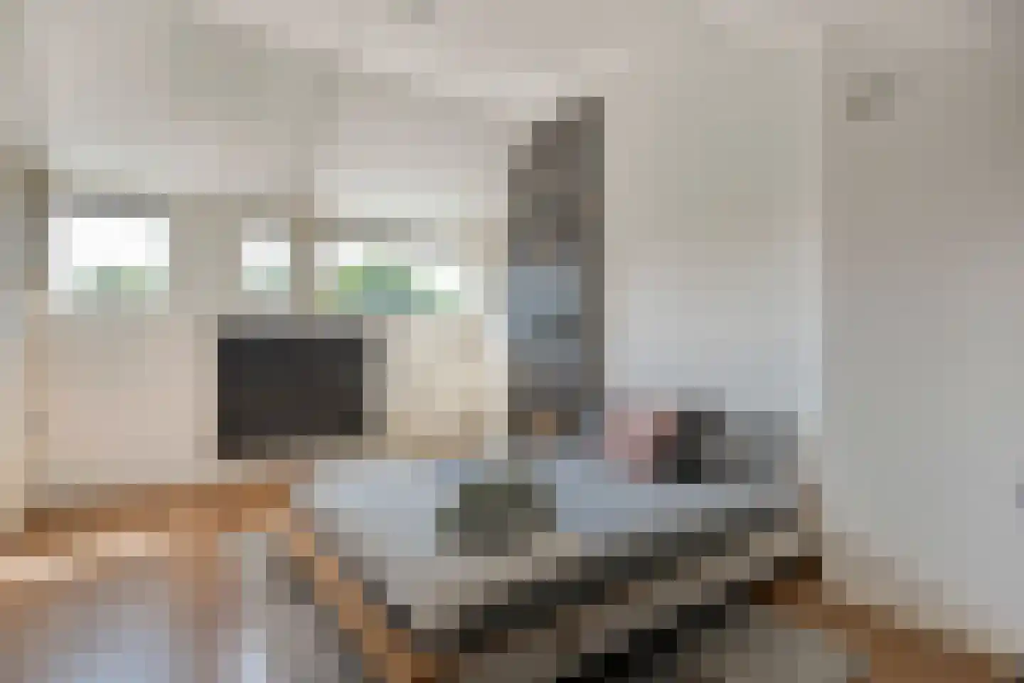 Beekberg 22 Hardenberg thumbnail 30