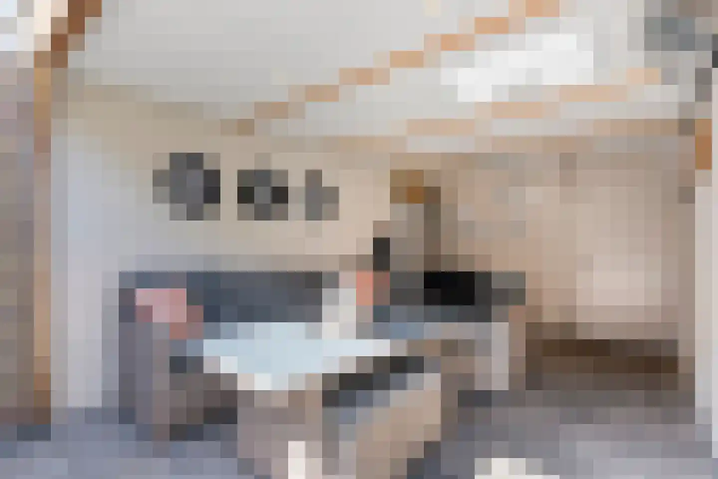 Beekberg 22 Hardenberg thumbnail 38