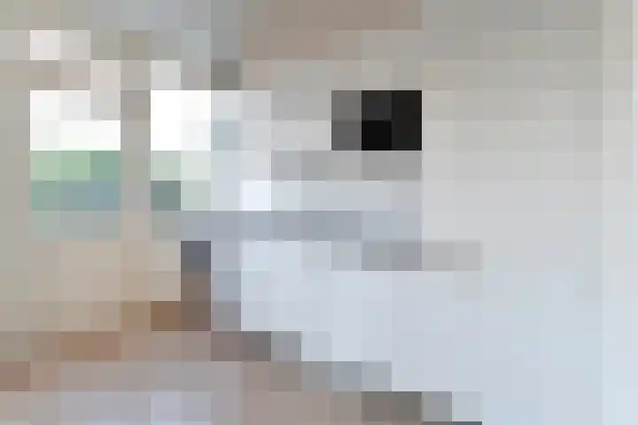 Beekberg 27 Hardenberg thumbnail 11