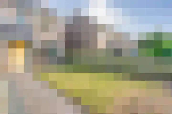 Beekberg 27 Hardenberg thumbnail 24