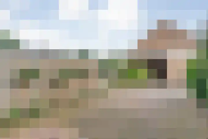 Beekberg 27 Hardenberg thumbnail 26