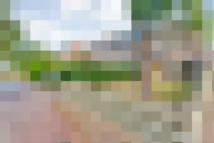 Beekberg 27 Hardenberg thumbnail 34