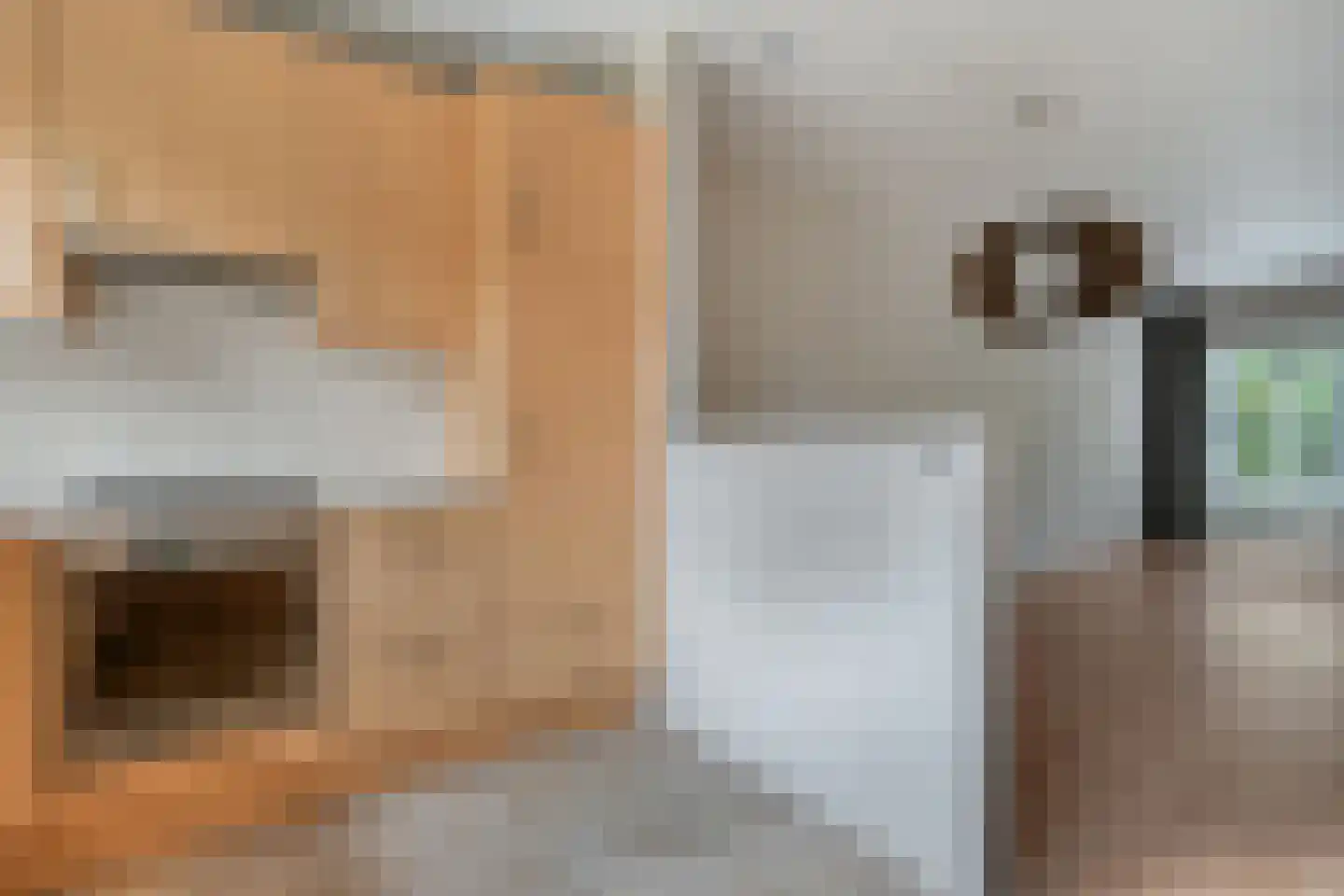 Beekberg 3 Hardenberg thumbnail 17