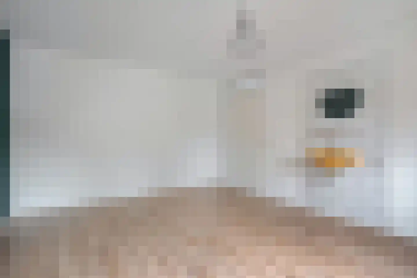 Beekberg 3 Hardenberg thumbnail 23