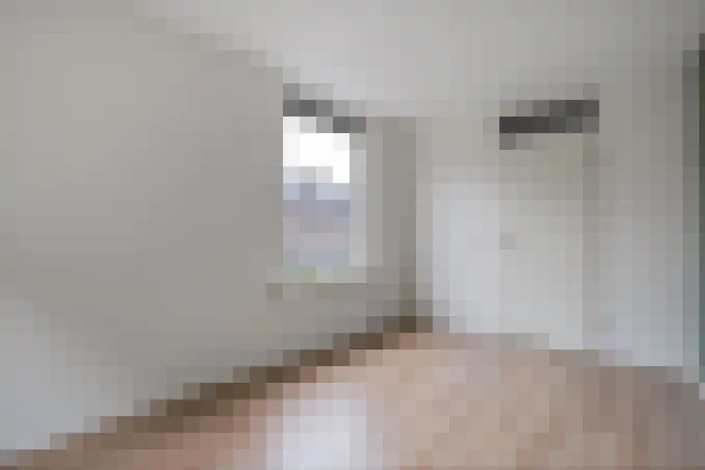 Beekberg 3 Hardenberg thumbnail 28