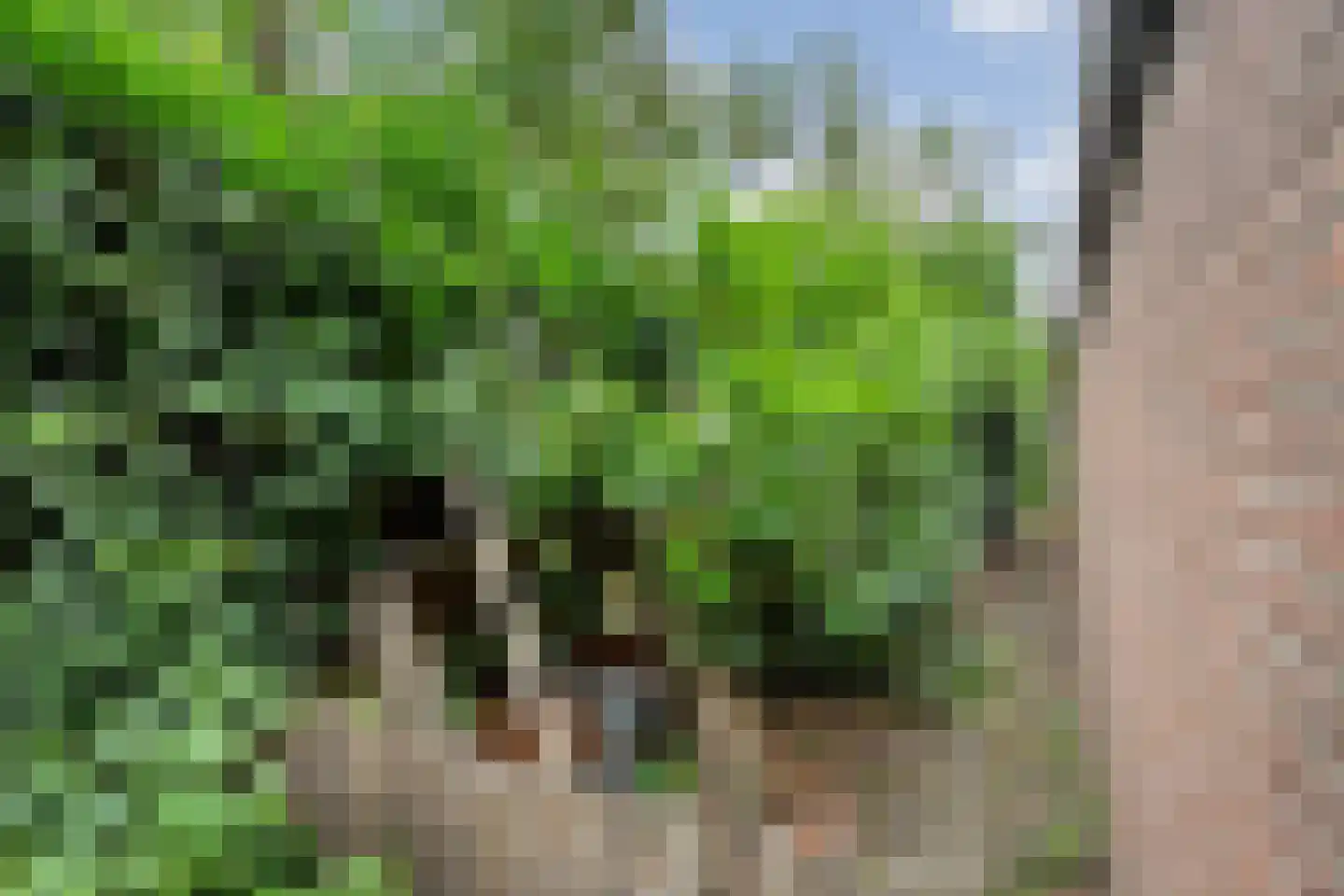 Beekberg 3 Hardenberg thumbnail 44
