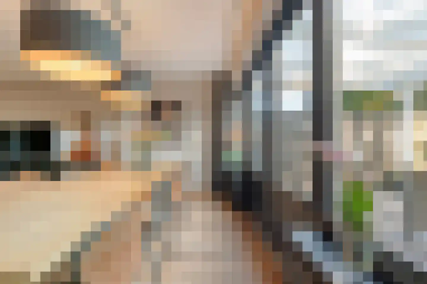 Beekberg 57 Hardenberg thumbnail 12