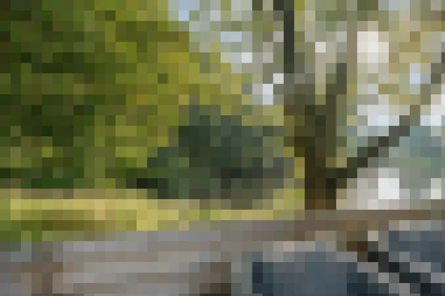 Beekberg 57 Hardenberg thumbnail 5