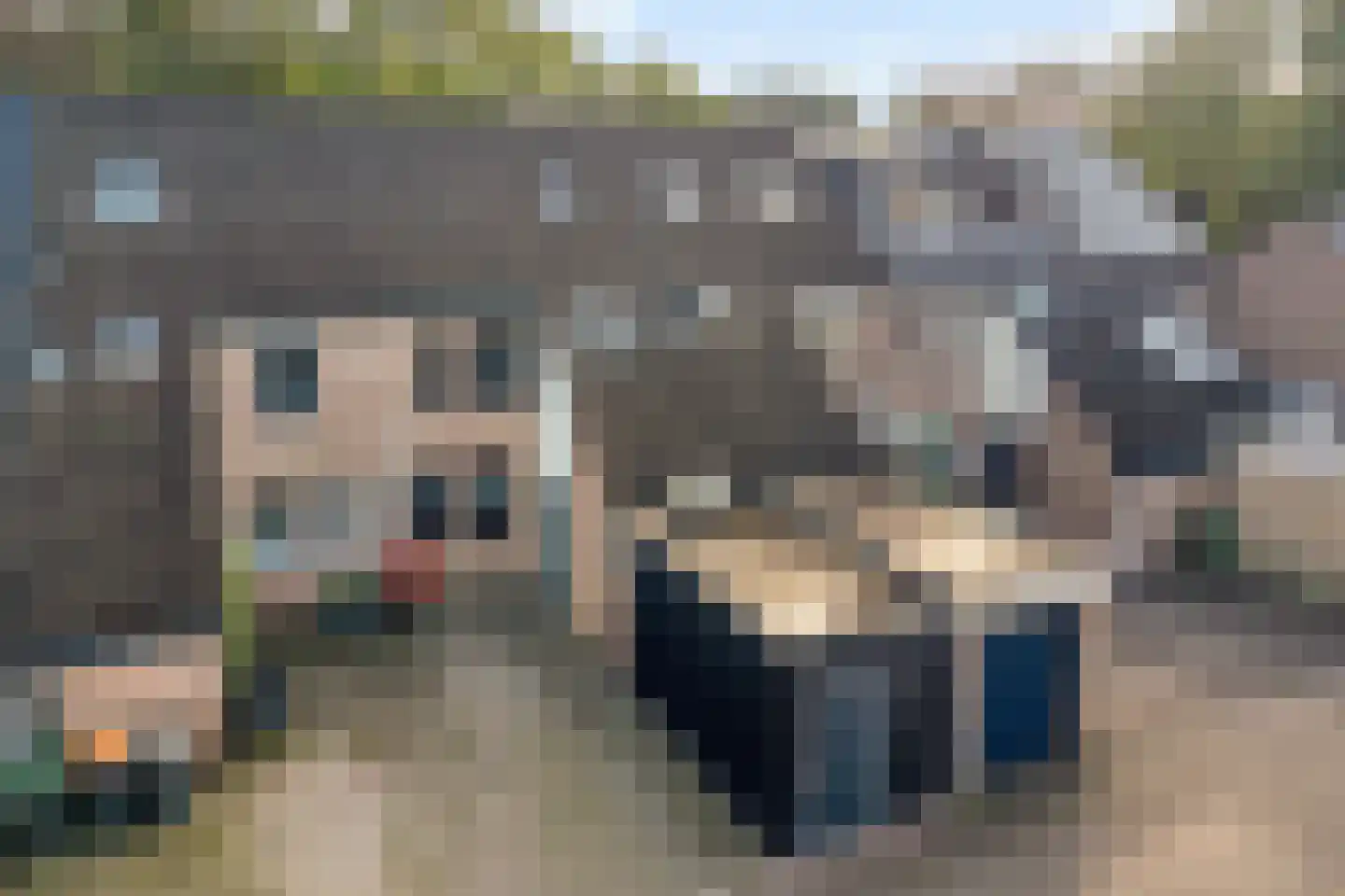 Beekberg 57 Hardenberg thumbnail 7