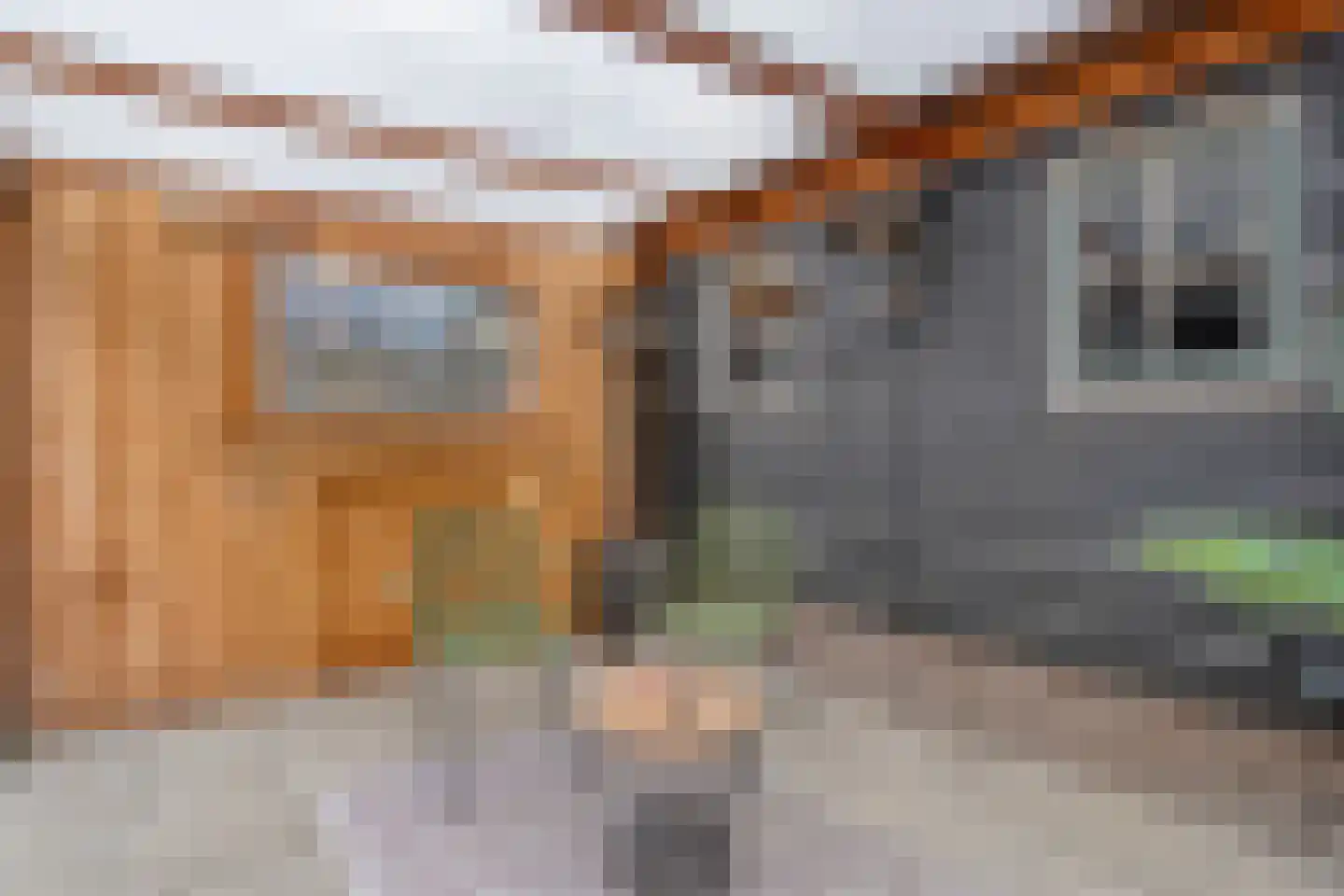 Beekberg 61 Hardenberg thumbnail 34