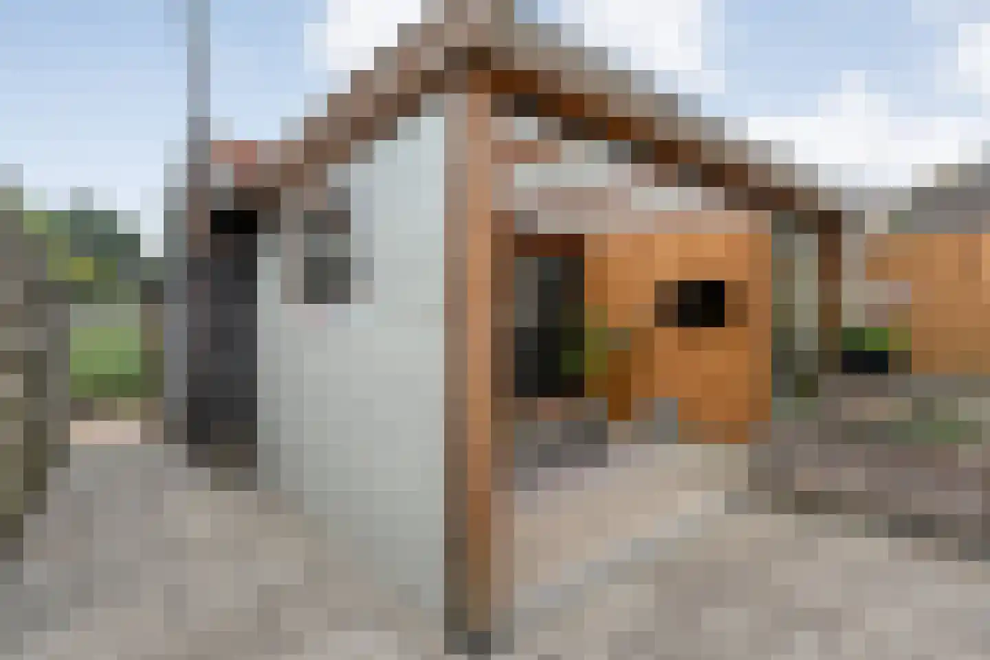Beekberg 61 Hardenberg thumbnail 36