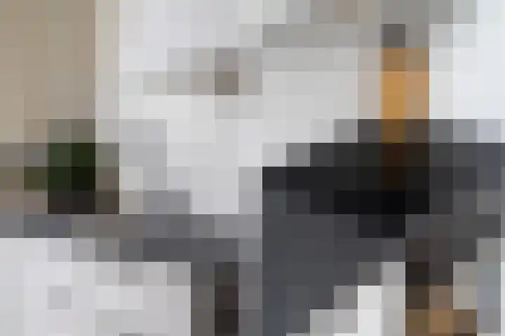 Beekbergenstraat 26 Den Haag thumbnail 9