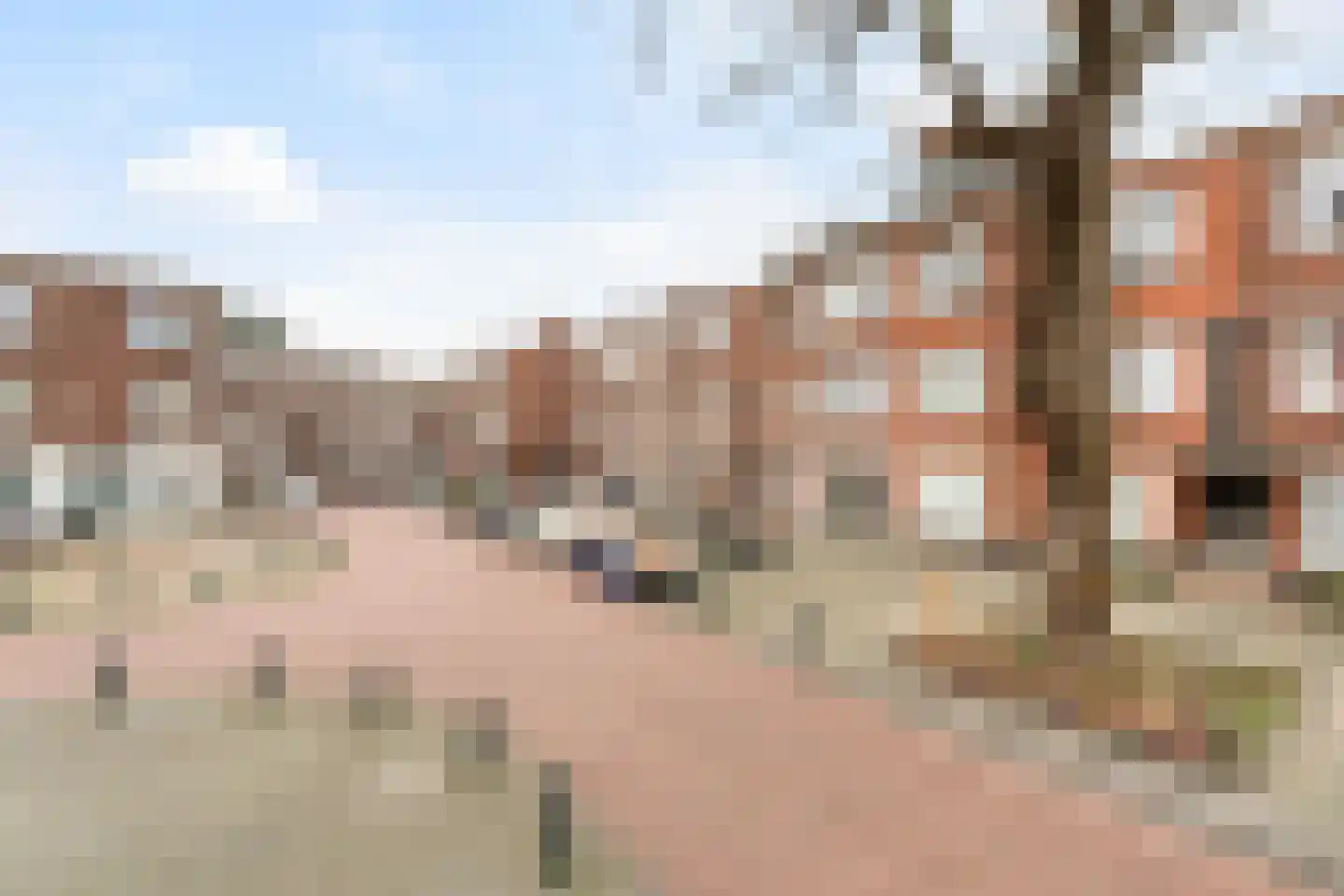 Beekbergenstraat 29 Den Haag thumbnail 5