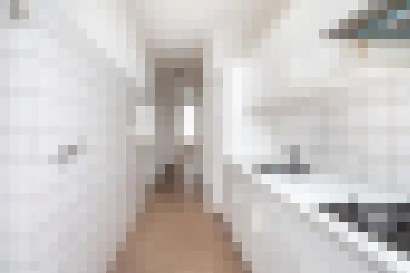 Beekbergenstraat 38 Den Haag thumbnail 6