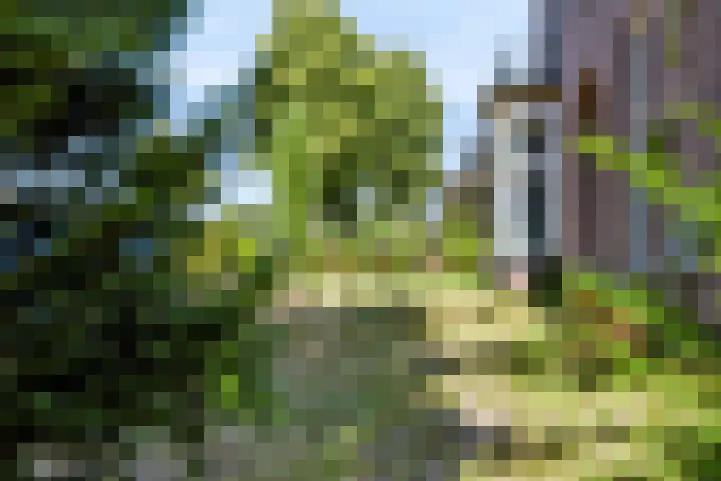 Beekbergerweg 14 Loenen thumbnail 46
