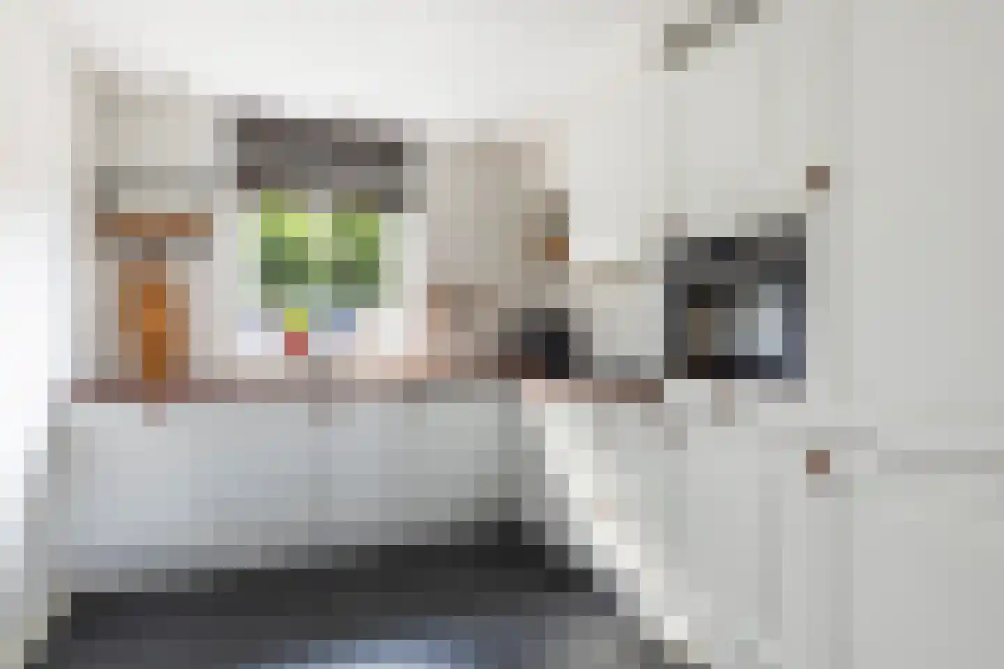 Beekboog 13 Barneveld thumbnail 4