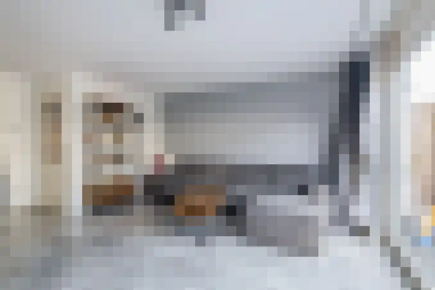 Beekdal 11 Assendelft thumbnail 15