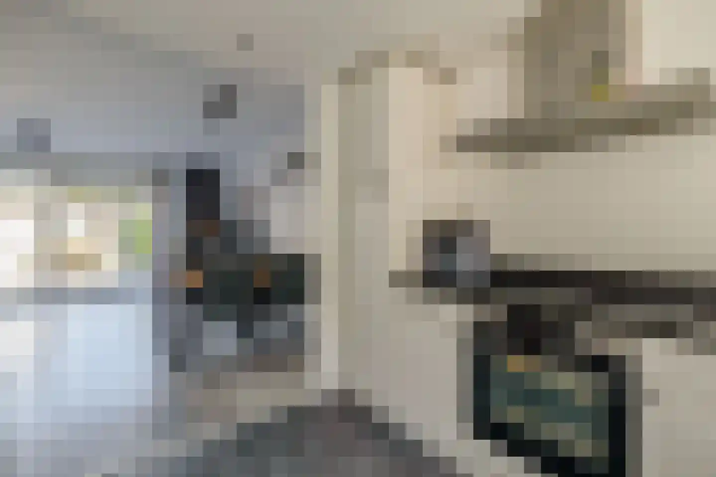 Beekdal 11 Assendelft thumbnail 20