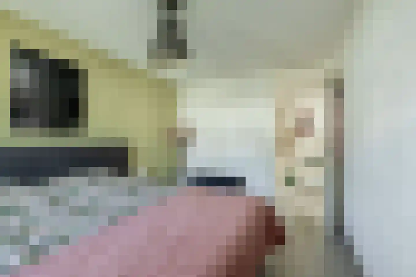 Beekdal 11 Assendelft thumbnail 26