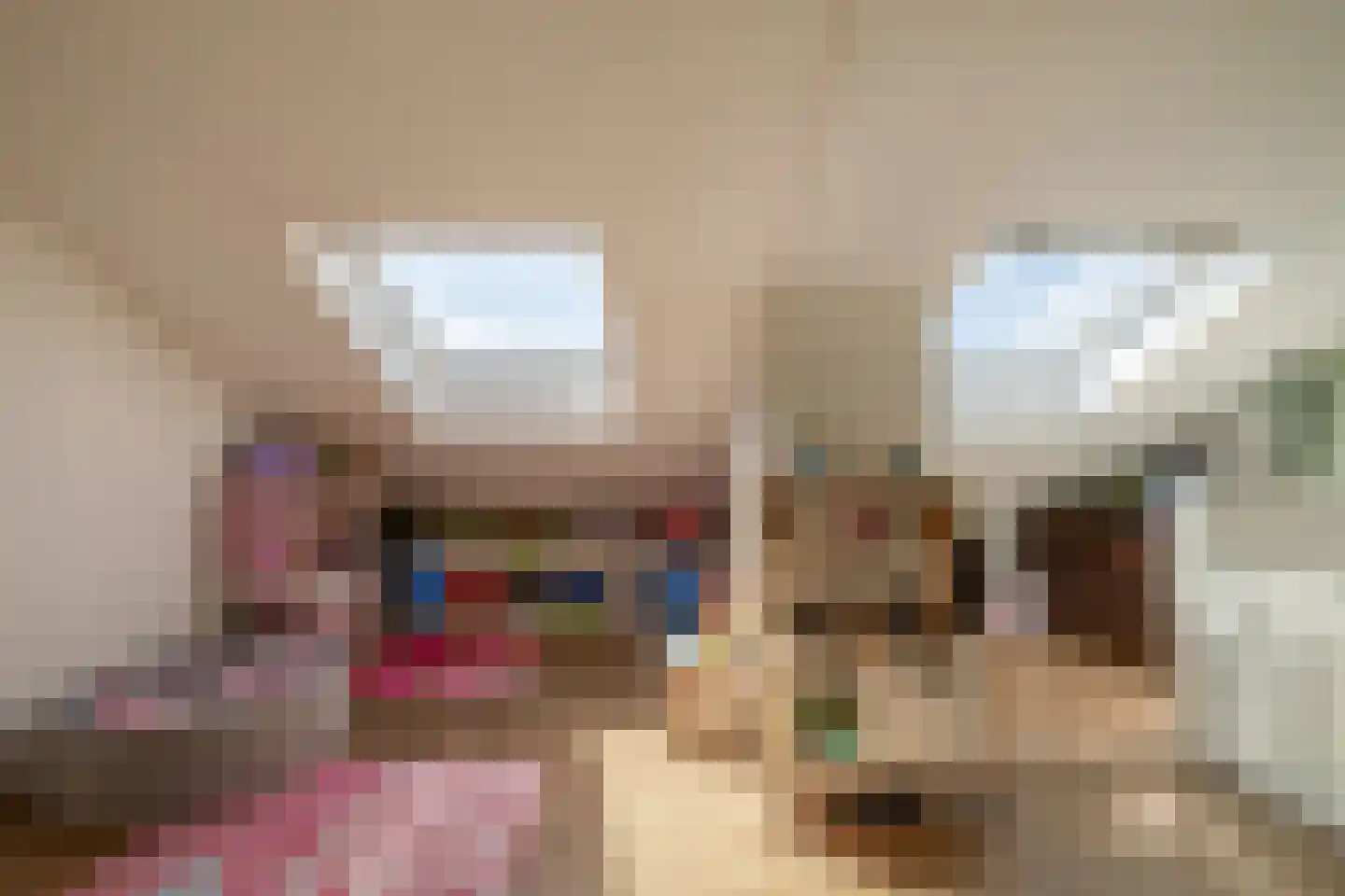 Beekdal 11 Assendelft thumbnail 34