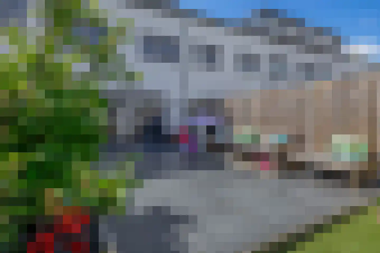 Beekdal 11 Assendelft thumbnail 4
