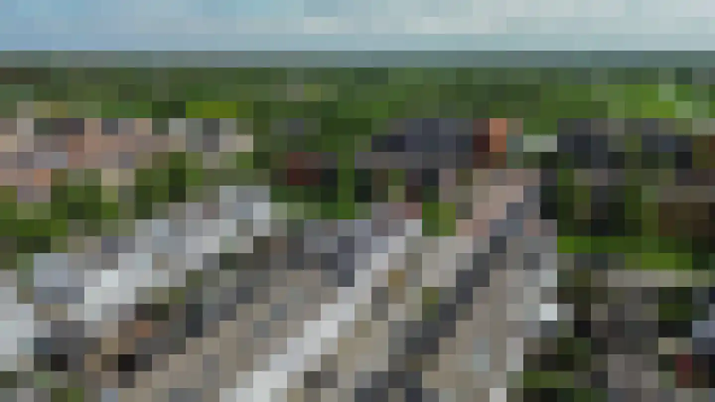 Beekdal 11 Assendelft thumbnail 6
