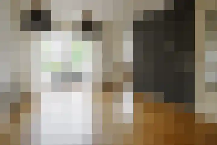 Beekdal 11 Vriezenveen thumbnail 11