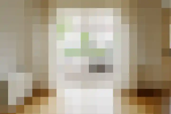 Beekdal 11 Vriezenveen thumbnail 12