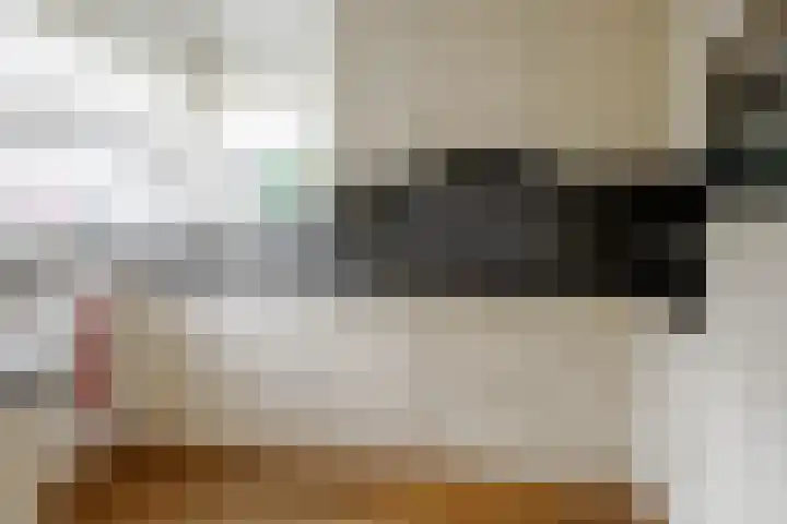 Beekdal 11 Vriezenveen thumbnail 13