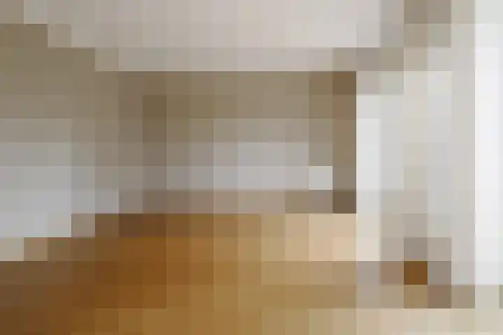 Beekdal 11 Vriezenveen thumbnail 19