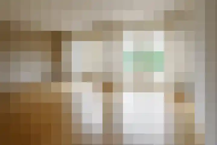 Beekdal 11 Vriezenveen thumbnail 22
