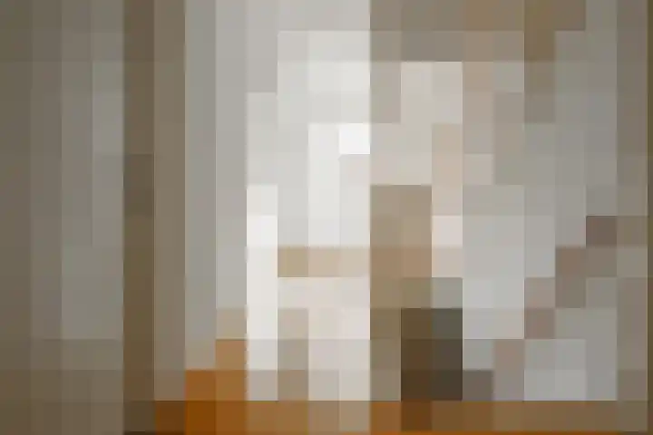 Beekdal 11 Vriezenveen thumbnail 28