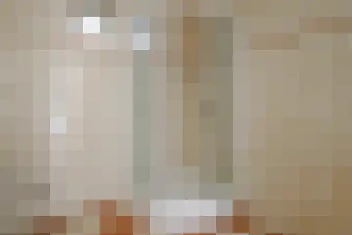 Beekdal 11 Vriezenveen thumbnail 31
