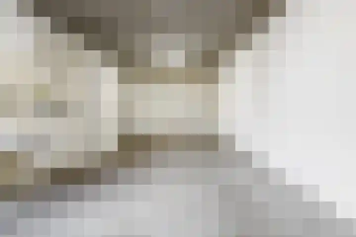 Beekdal 11 Vriezenveen thumbnail 36