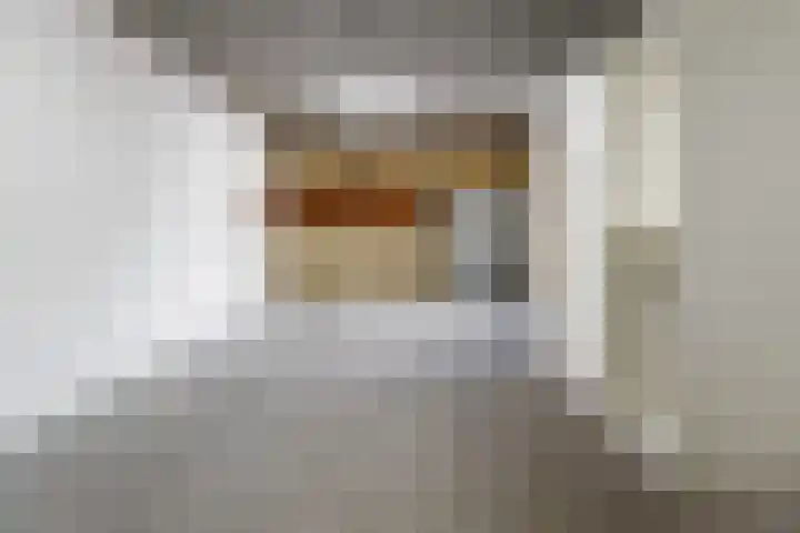 Beekdal 11 Vriezenveen thumbnail 37