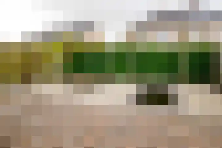 Beekdal 11 Vriezenveen thumbnail 42