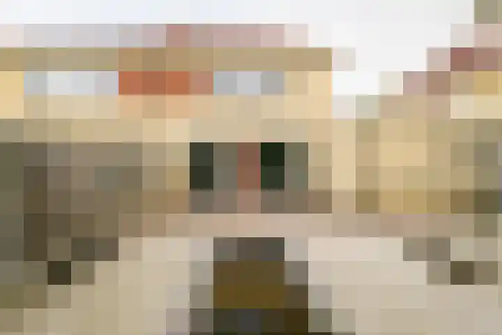 Beekdal 11 Vriezenveen thumbnail 43