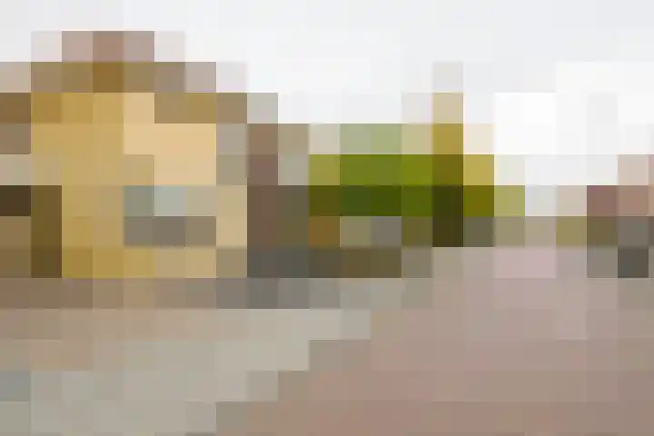 Beekdal 11 Vriezenveen thumbnail 45