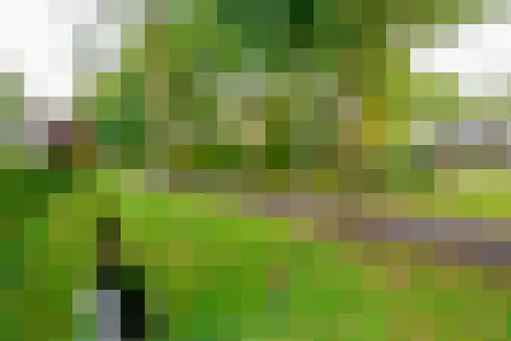 Beekdal 11 Vriezenveen thumbnail 46