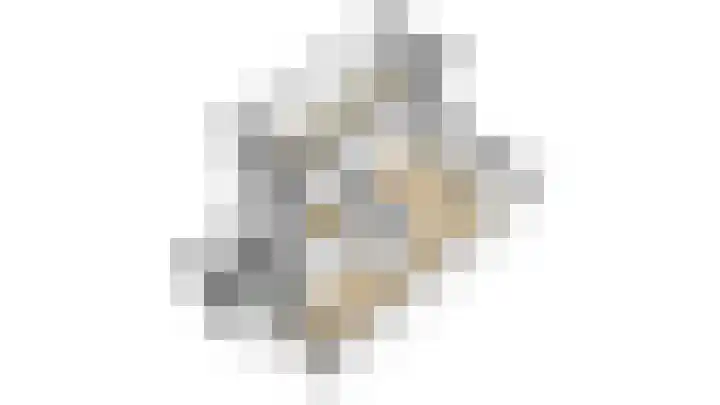 Beekdal 11 Vriezenveen thumbnail 53