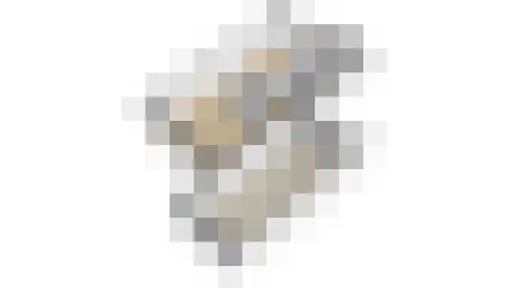 Beekdal 11 Vriezenveen thumbnail 54