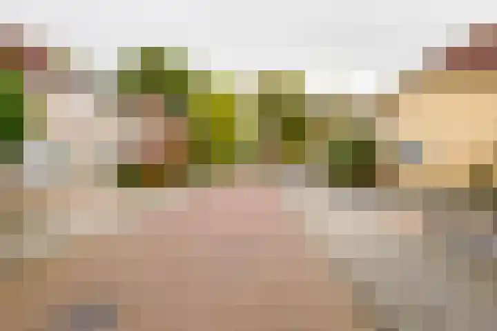 Beekdal 11 Vriezenveen thumbnail 7