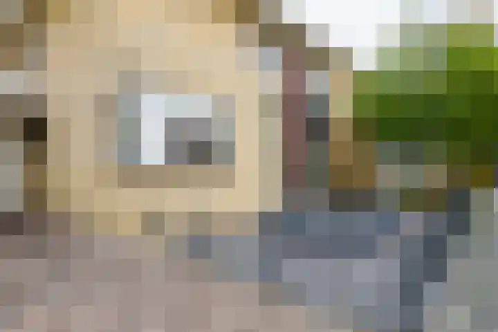 Beekdal 11 Vriezenveen thumbnail 8