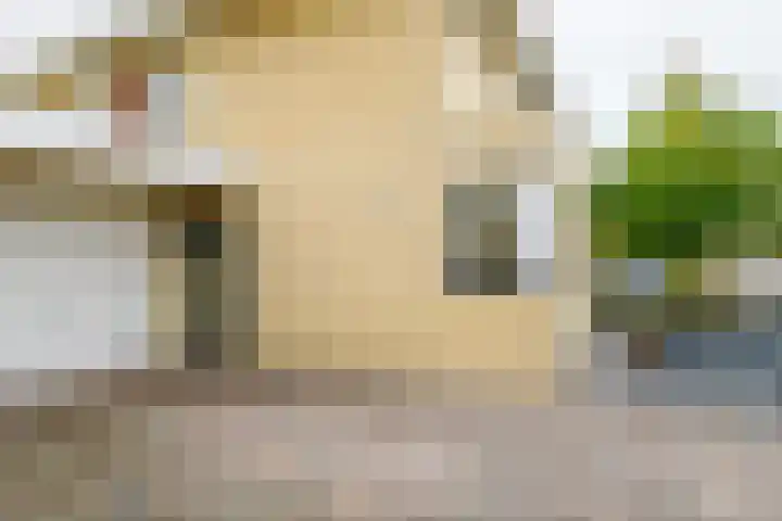 Beekdal 11 Vriezenveen thumbnail 9