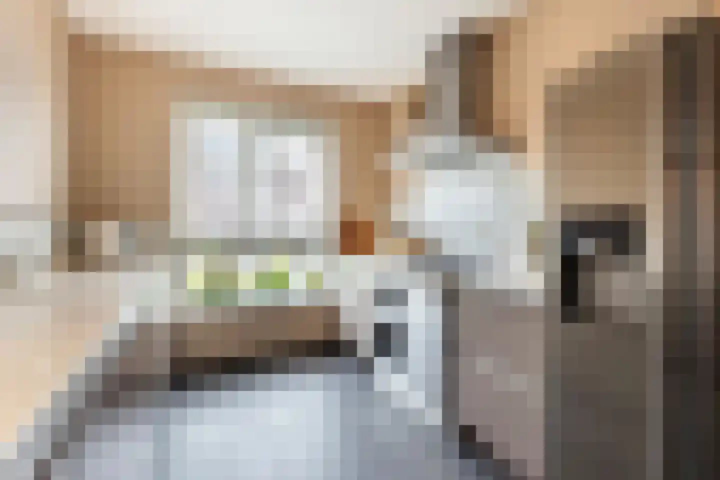 Beekdal 16 Deurningen thumbnail 13