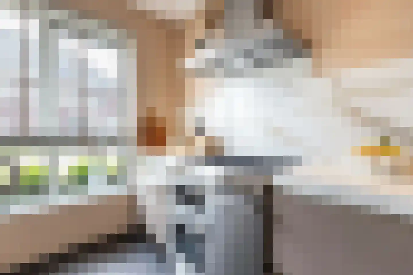 Beekdal 16 Deurningen thumbnail 14