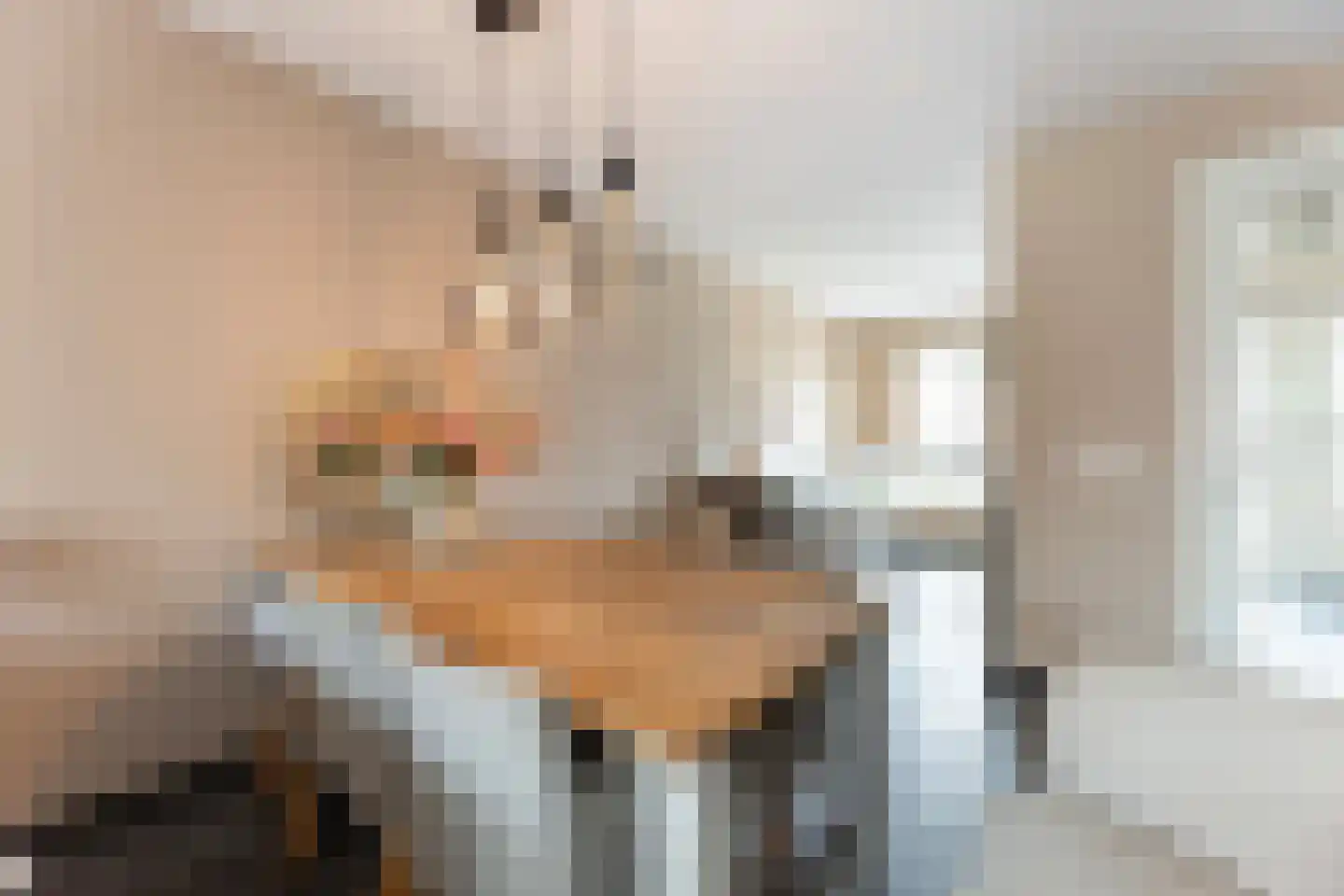 Beekdal 16 Deurningen thumbnail 19