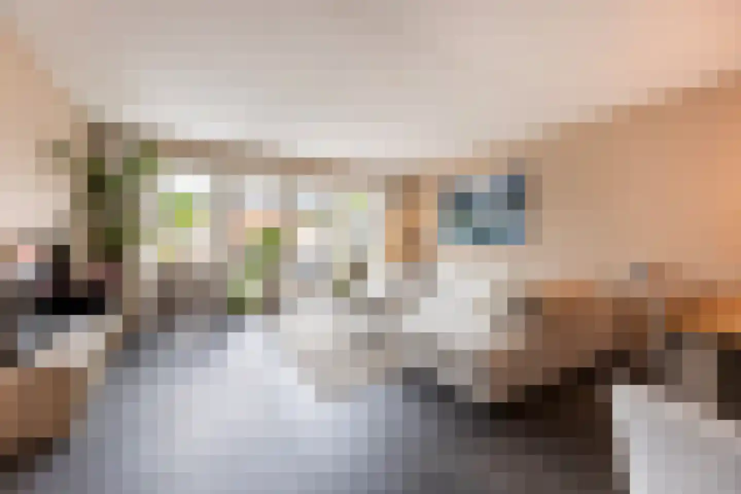 Beekdal 16 Deurningen thumbnail 20